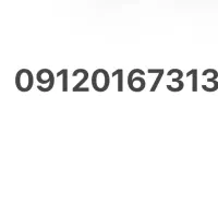 09120167313