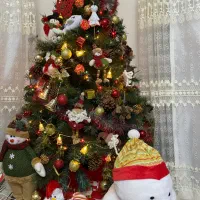 ‌درخت کریسمس خریداری شده از دبی