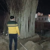 مهندسی و مشاوره باغ هرس کودهی سم درختکاری گل کاری