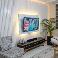 ال ای دی سامسونگ 55