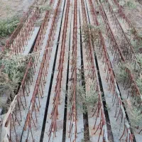 فروش ۱۱عدد تیرچه بلوک ۶متری (روستای نزدیک پاریز)