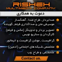 استخدام متخصصین تولید محتوا و چندرسانه ای و ادمین|استخدام رایانه و فناوری اطلاعات|تنکابن, |دیوار