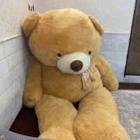 خرس بزرگ عروسکی|اسباب‌‌بازی|قم, شهرک امام حسن|دیوار