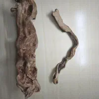 چوب دکوری مخصوص آکواریوم