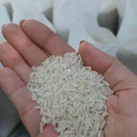 برنج معطر و به شرط پخت مازندران