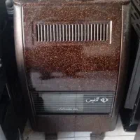 بخاری ادنیس