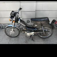 3عدد مرغ شاخدار سالم