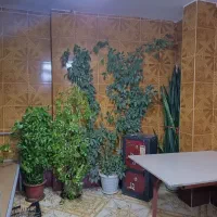 حراجی|حراج|جوانرود, |دیوار