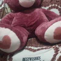 خرس یک متری