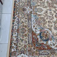 9متری بهشت 1200شانه|فرش|پاکدشت, پاکدشت (مامازند)|دیوار