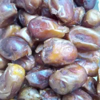 خرمای زاهدی|خوردنی و آشامیدنی|اهواز, اسلام آباد غربی|دیوار