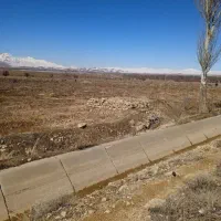 فروش-باغ-انگوری-با-سه-درخت-گردو-معرکه