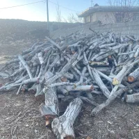 خرید و فروش چوب