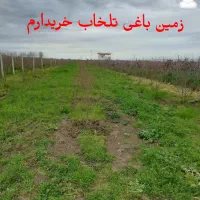 زمین باغی تلخاب شیرین