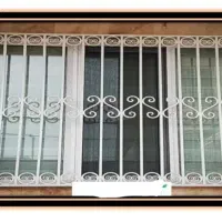 حفاظ پنجره/کولر/پمپ/شاخ گوزنی/سایبان