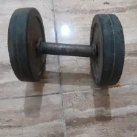دمبل
