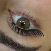 آموزش اکستنشن مژه|خدمات آموزشی|رشت, معلم|دیوار