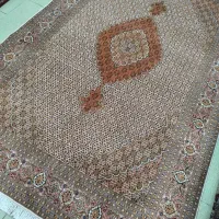 یک جفت ۶ متری ماهی رج ۵۰