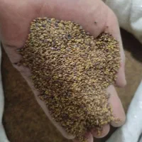 بذر یونجه|گل و گیاه طبیعی|بشاریات, |دیوار