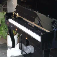 پیانو طرح آکوستیک DPH420 یاماها