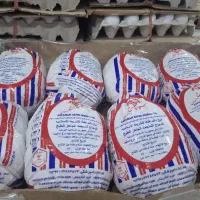 مرغ اکبر جوجه