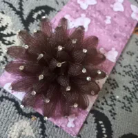 گل سر وریسه