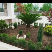 باغبانی کاشت گل و قطره ای