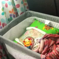 تخت کنار مادر برند زویه|اسباب و اثاث بچه|فردوسیه, |دیوار