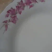 بشقاب چینی زرین قدیمی