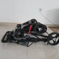 کالسکه دلیجان|کالسکه و لوازم جانبی|یزد, |دیوار