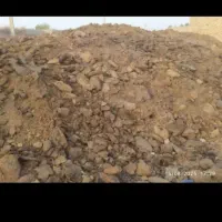 کودگاوی|عمده‌فروشی|سراوان, |دیوار