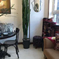 گل هدیه|گل و گیاه طبیعی|لواسان, |دیوار