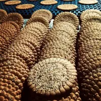 پخش بیسکویت و کلمپه و بوبوچی گردویی|عمدهفروشی|کاشان, شهرک انقلاب|دیوار