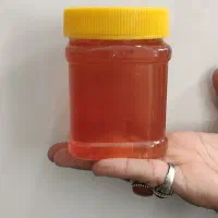 کندو عسل شهد