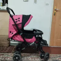 کالسکه درحدنو دلیجان