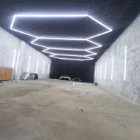 فروش و اجرای لاین نوری|ریسه و چراغ تزئینی|اندیمشک, |دیوار