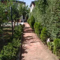 هرس علمی واصولی.سم پاشی