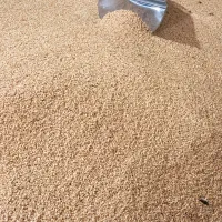 کارگاه تولیدی ارده