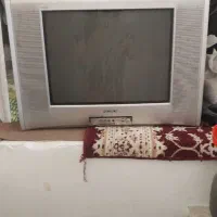 تلویزیون