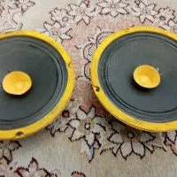 دو عدد میت سالم