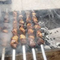 نیرو خانم جهت کار در کبابی