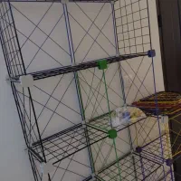 قفسه فلزی رنگی چند منظوره بادوام و محکم