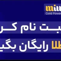 هر کد ملی ۱۰۰هزار تومن تنها در ۲ دقیقه