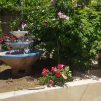 ویلائی