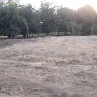 زمین ورودی دقلا مناسب خونه باغی کنار جاده کرمانشاه|فروش زمین و ملک کلنگی|تویسرکان, |دیوار