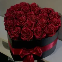 گل رز ماندگار