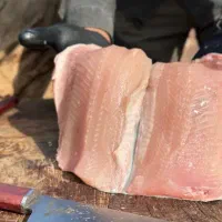 ماهی قزل‌آلا و سالمون تازه خانه ماهی هیرا