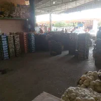 نیازمند به چند نیرو جهت کار درمیدان تره بارمرکزی