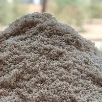 خاک اره صنوبرخالص