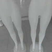 جفتی 1800000 تومان